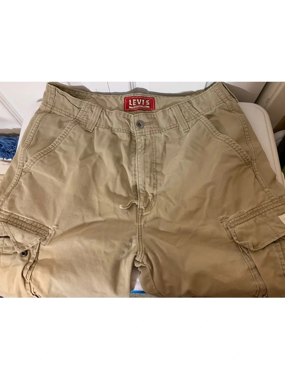 Levis levi cargo
